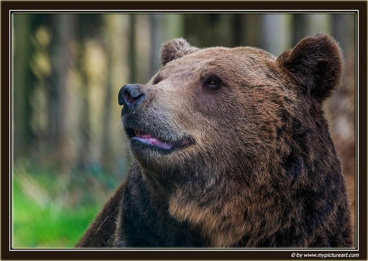 Wild- Und Freizeitpark